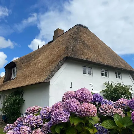 Haus